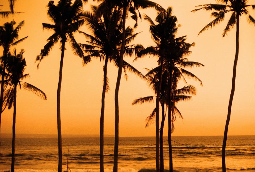 blog-Rethinking Life: Australians in 2026